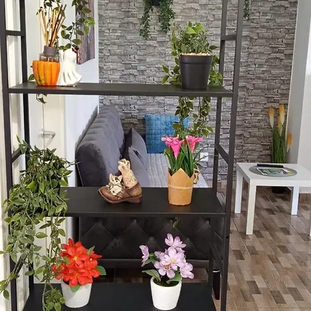 Mirko Apartment *